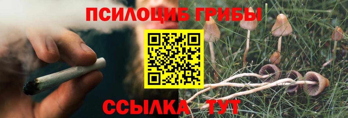 Псилоцибиновые грибы прущие грибы  Вход с VPN  Галлюциногенные грибы прущие грибы  Киров 